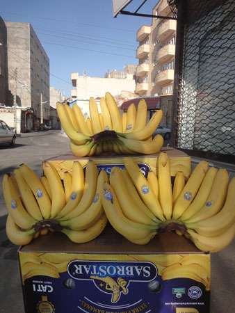 موز با ارز دولتی