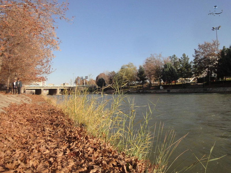 شهر چایی