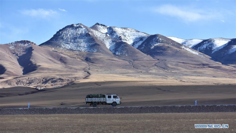 پاییز - چین - تبت