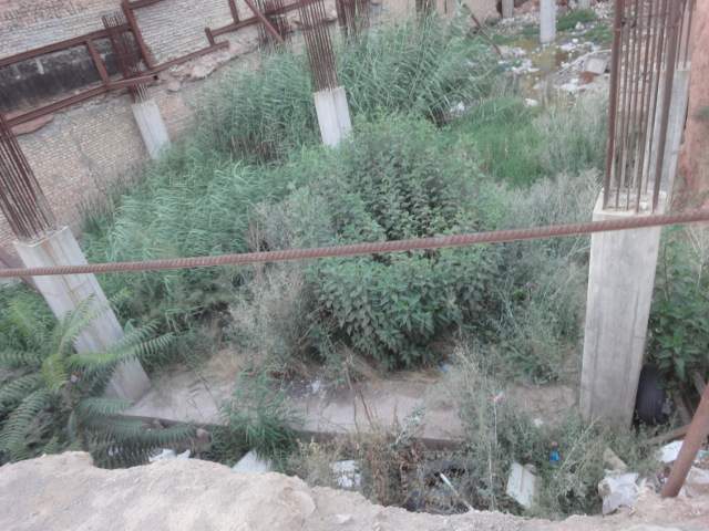 خیابان عباسی تبریز