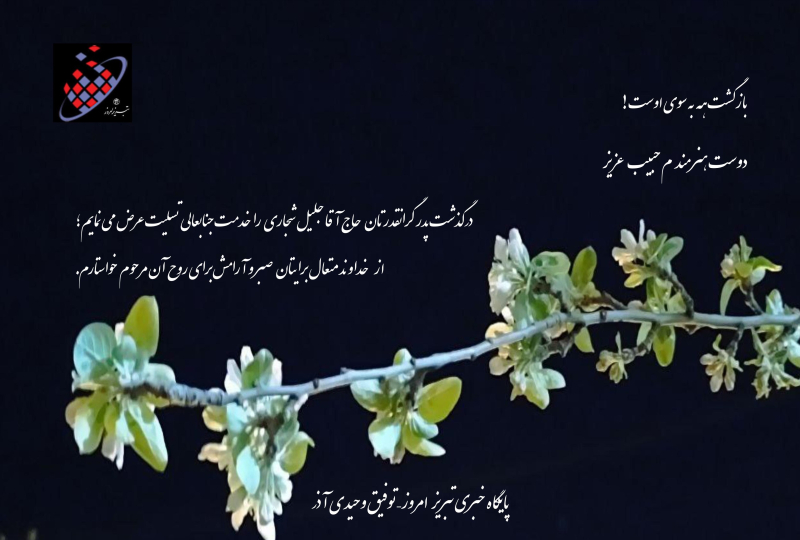 شجاری حاج جلیل
