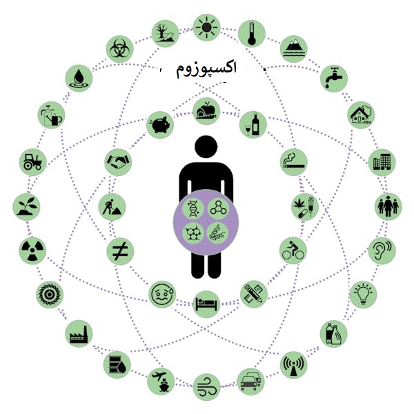 نمودار یک فرد احاطه شده با نمادهایی از نوردهی های مختلف محیطی که اکسپوزوم را تشکیل می دهند. اکسپوزوم شما طیف وسیعی از عوامل را در بر می گیرد. Nathalie Ruaux/Wikimedia Commons، CC BY-SA