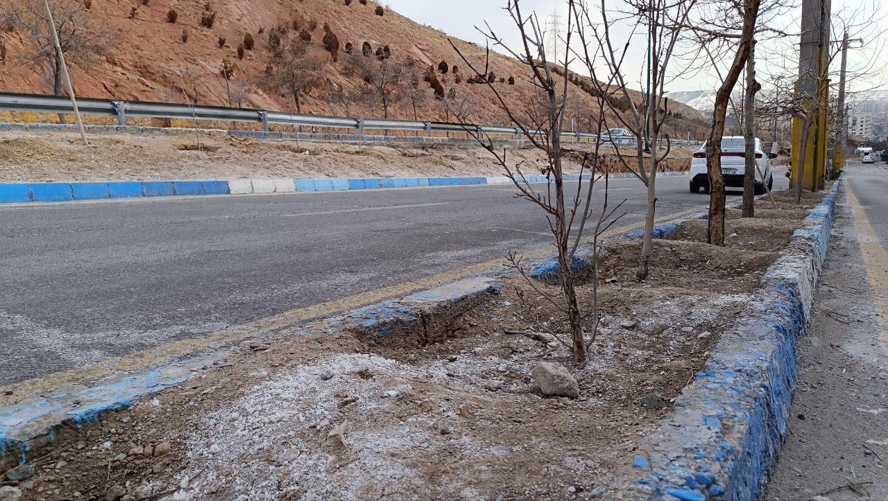 محلول پاشی برای برف و یخ زدایی  در تبریز وارد فضای سبز و پای درختان می شود