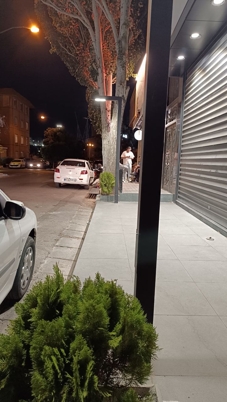 قطع درختان و احداث مغازه