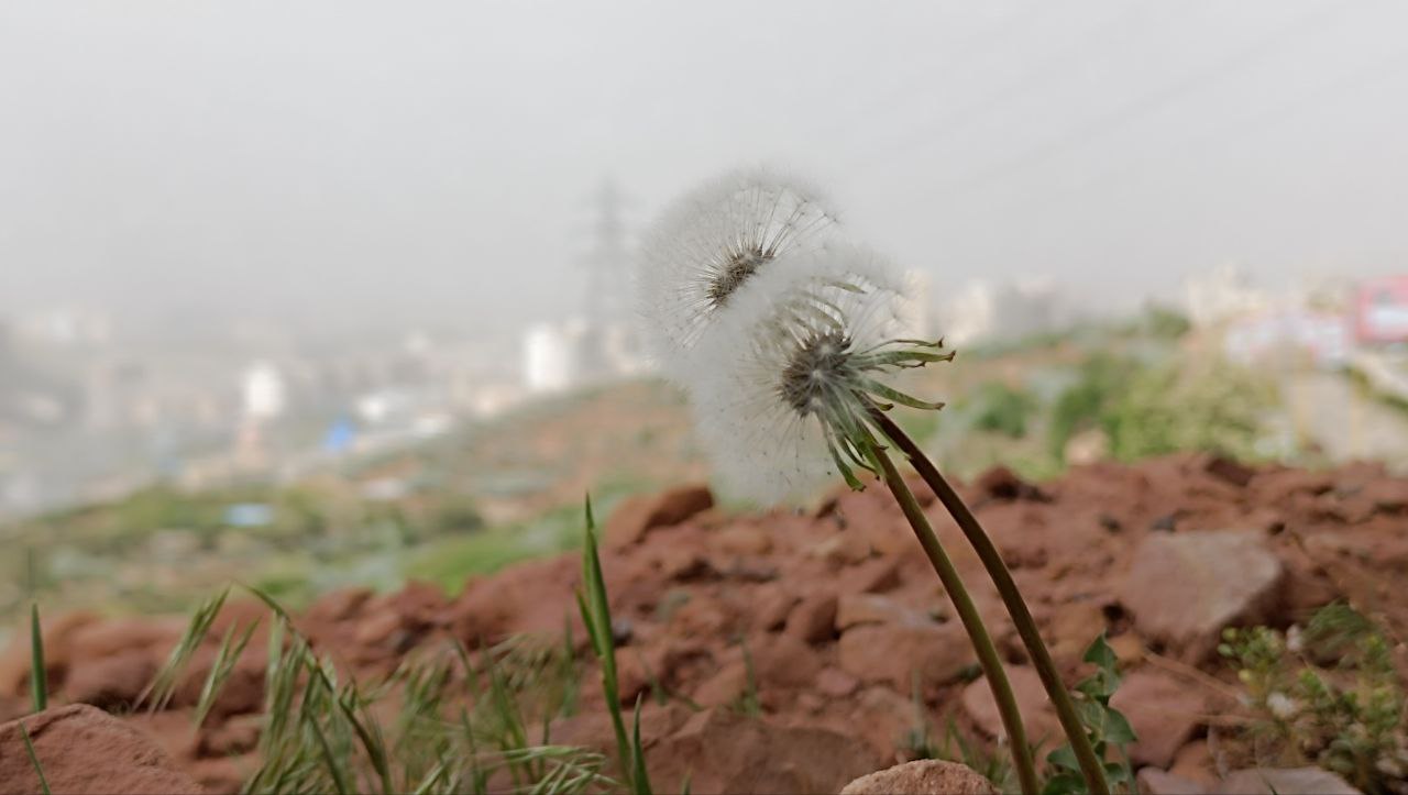 هوا آلوده است!