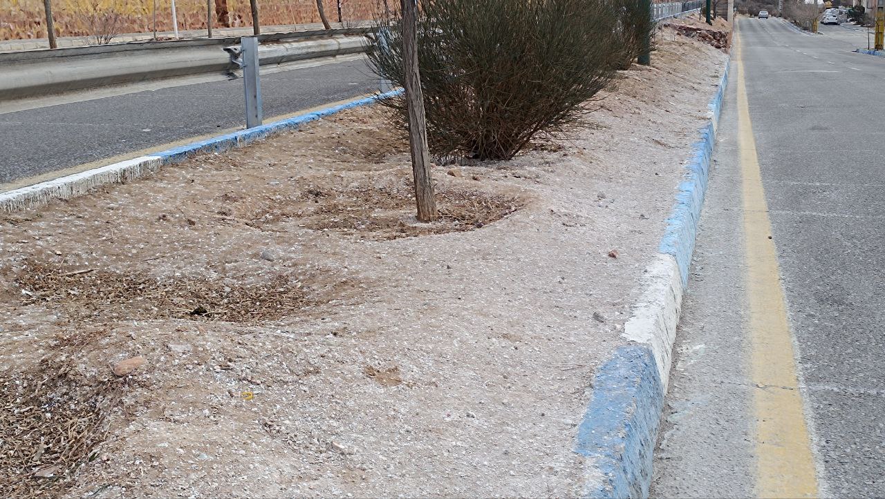 محلول پاشی برای برف و یخ زدایی  در تبریز وارد فضای سبز و پای درختان می شود